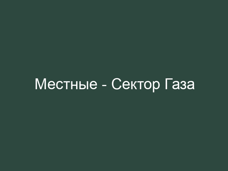 Песня сектора газа местные. Сектор газа местные. Сектор газа местные текст. Местные текст. Местные песня сектор газа.