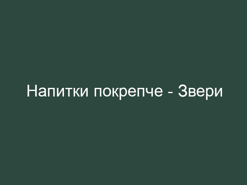 Звери напитки текст. Звери напитки покрепче. Напитки покрепче слова. Звери напитки покрепче текст. Напитки покрепче слова покороче текст.