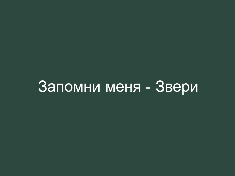 Звери запомни меня. Звери фабрика грез. Звери запомни меня слушать. Фабрика грез звери цитаты.