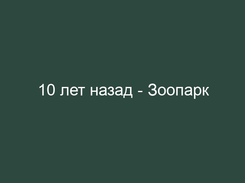 Зоопарк 10age слушать