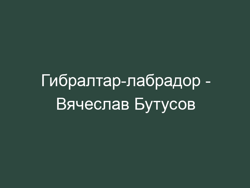 Гибралтар лабрадор. Гибралтар-лабрадор Вячеслав Бутусов. Гибралтар-лабрадор Вячеслав Бутусов текст. Гибралтар лабрадор текст.