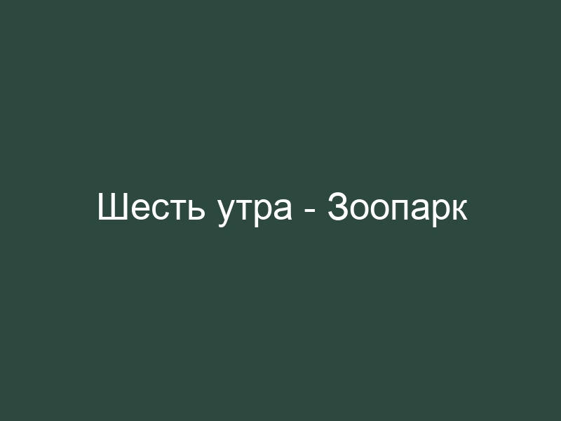 Шесть утра