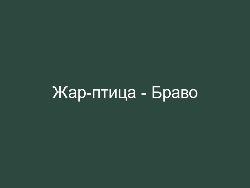 Браво Жар птица. Браво Жар птица текст. Браво перо Жар птицы текст.